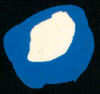 lavoi7.gif (21314 octets)